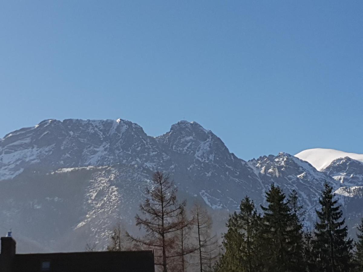 Willa Za Strugiem Zakopane Exterior foto