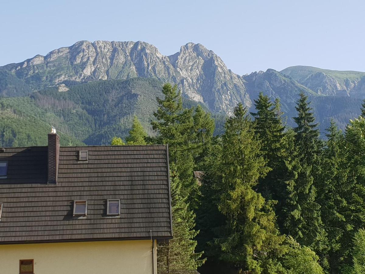 Willa Za Strugiem Zakopane Exterior foto